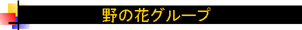 @̉ԃO[v